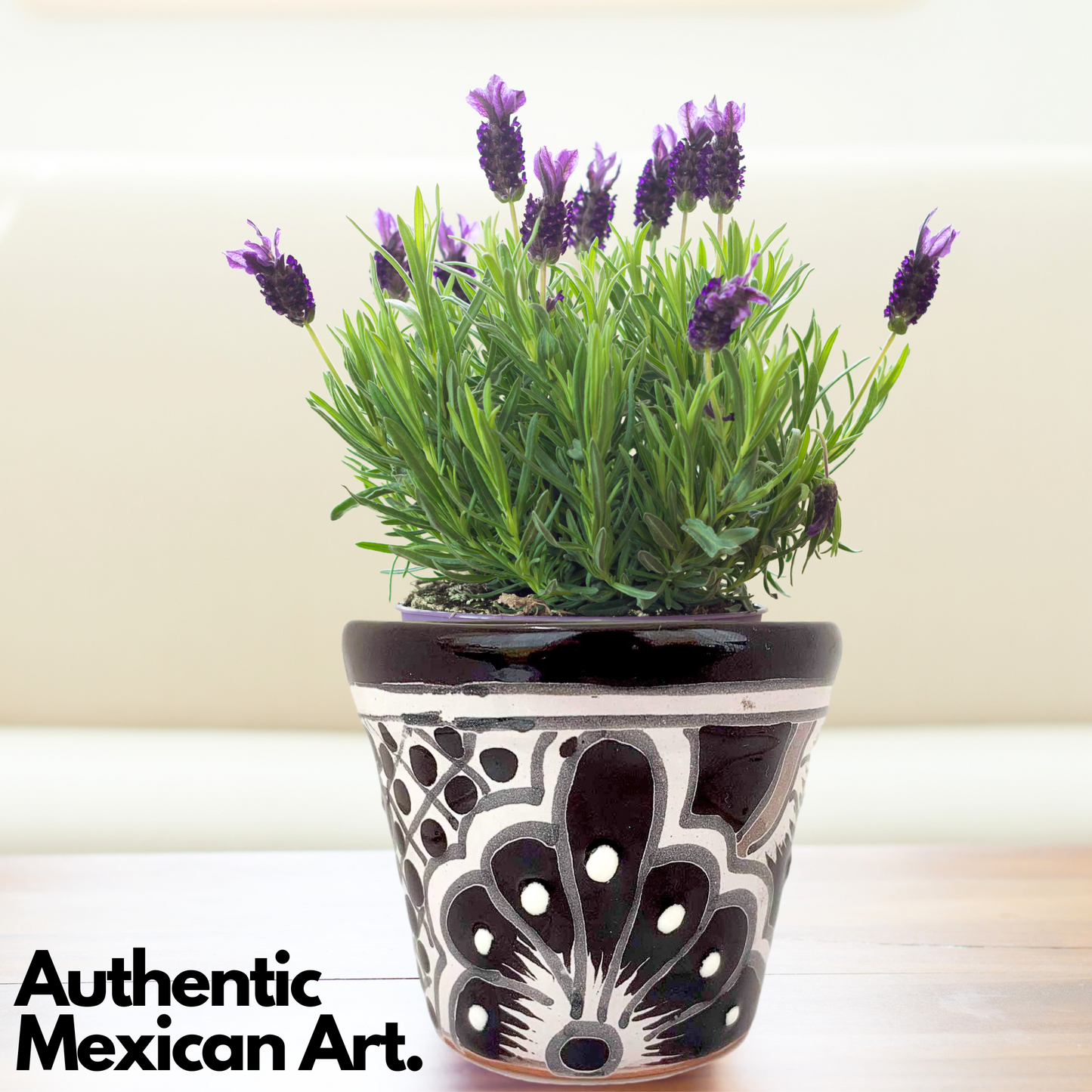 authentic mexican art Black and WhiteTalavera Ceramic Succulent Plant Pots - Hand-Painted Mexican Artistry by Casa Fiesta Designs.