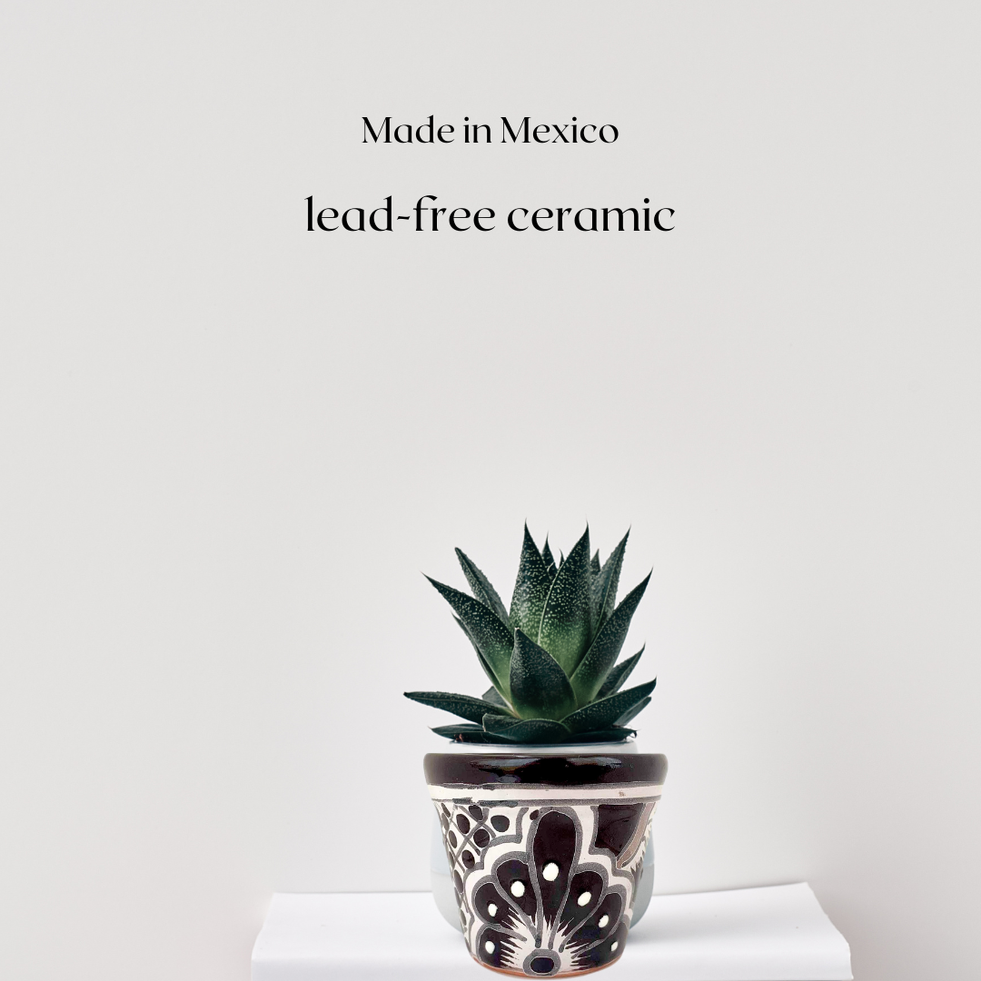 lead free ceramic Black and WhiteTalavera Ceramic Succulent Plant Pots - Hand-Painted Mexican Artistry by Casa Fiesta Designs.
