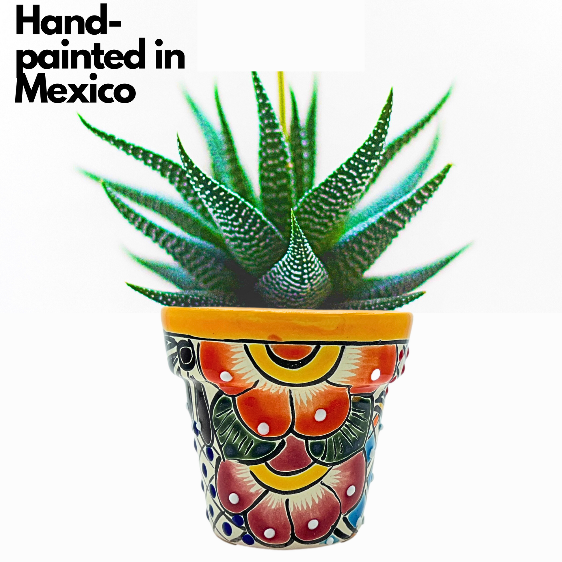 hand-painted in mexico Talavera Ceramic Mini Plant Pots, hand-painted with vibrant designs by Mexican artisans, perfect for small plants and interior decor.