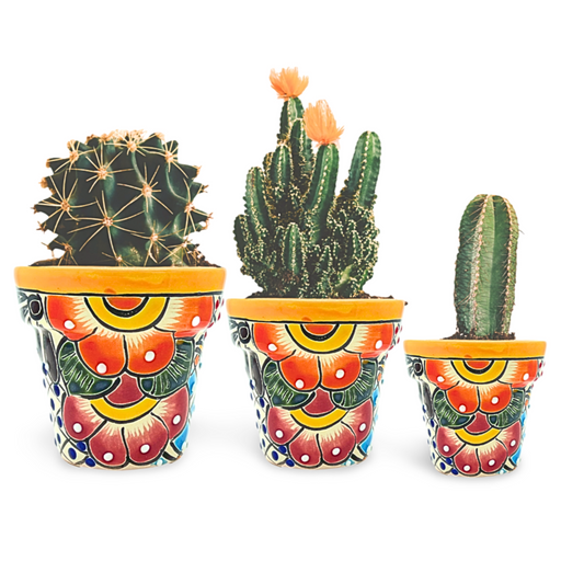 main image Talavera Ceramic Mini Plant Pots, hand-painted with vibrant designs by Mexican artisans, perfect for small plants and interior decor.