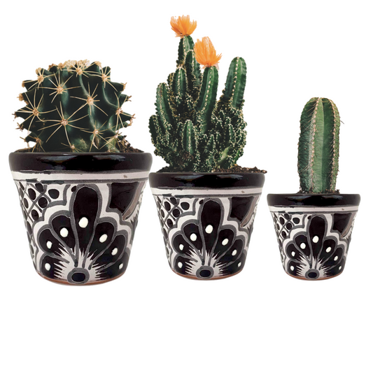 main image Black and WhiteTalavera Ceramic Succulent Plant Pots - Hand-Painted Mexican Artistry by Casa Fiesta Designs.