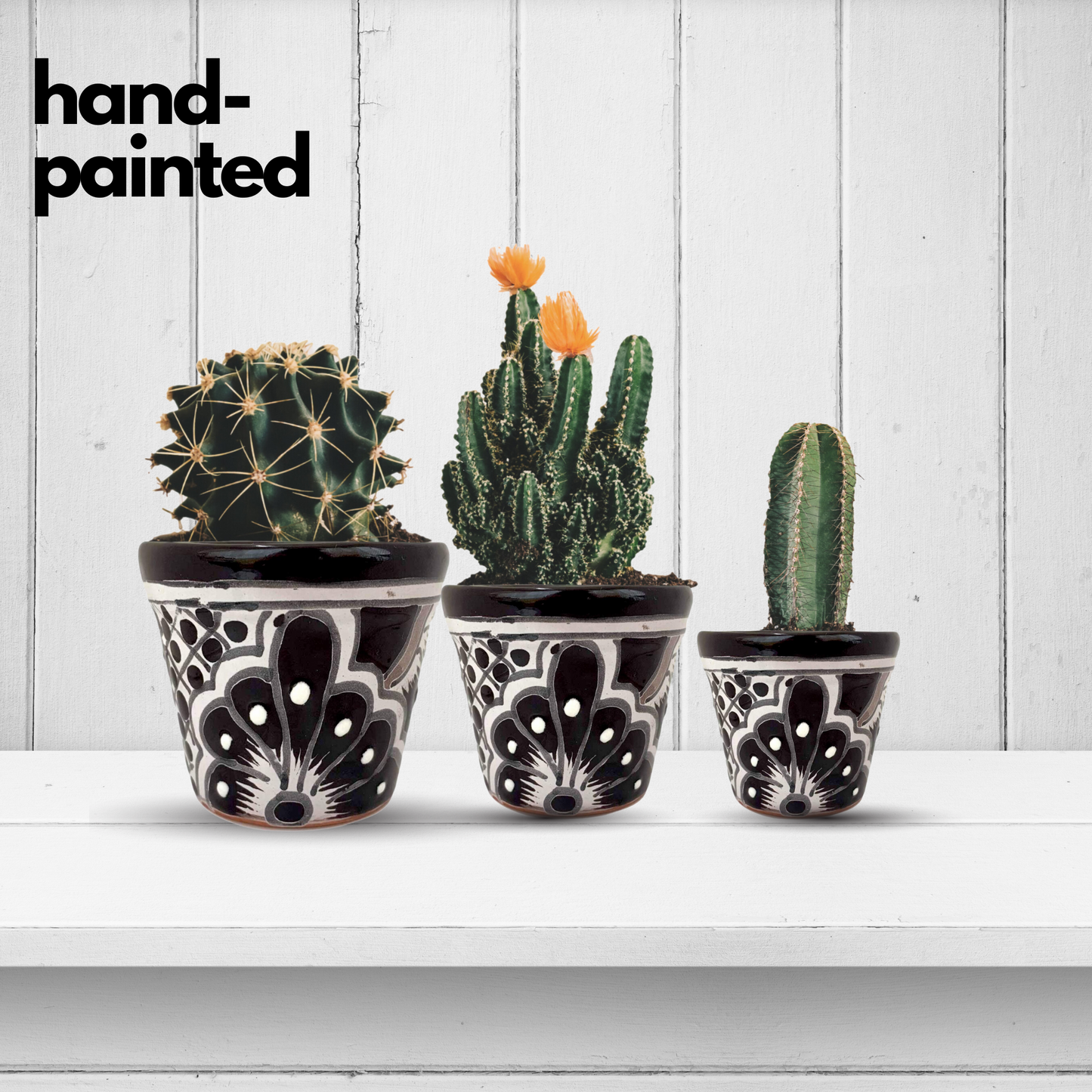 hand-painted Black and WhiteTalavera Ceramic Succulent Plant Pots - Hand-Painted Mexican Artistry by Casa Fiesta Designs.