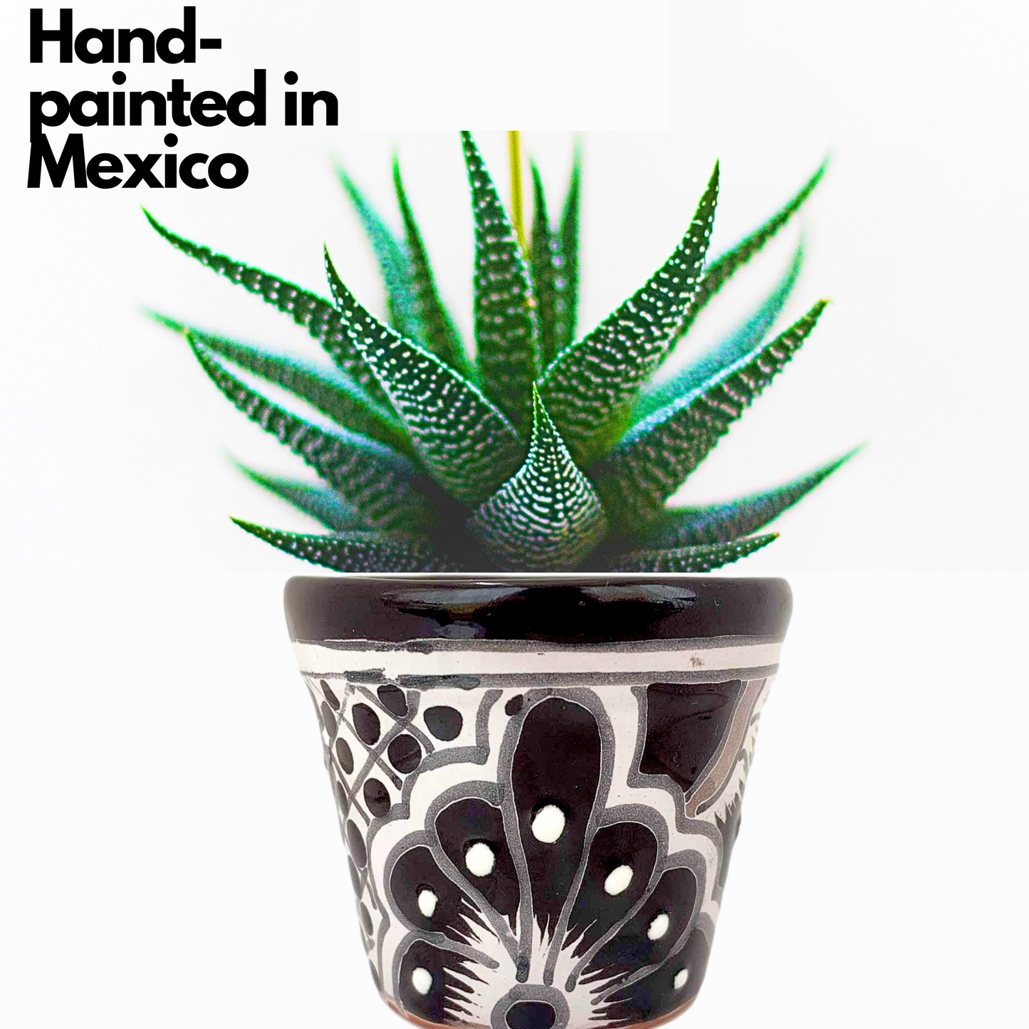 hand painted in mexico Black and WhiteTalavera Ceramic Succulent Plant Pots - Hand-Painted Mexican Artistry by Casa Fiesta Designs.
