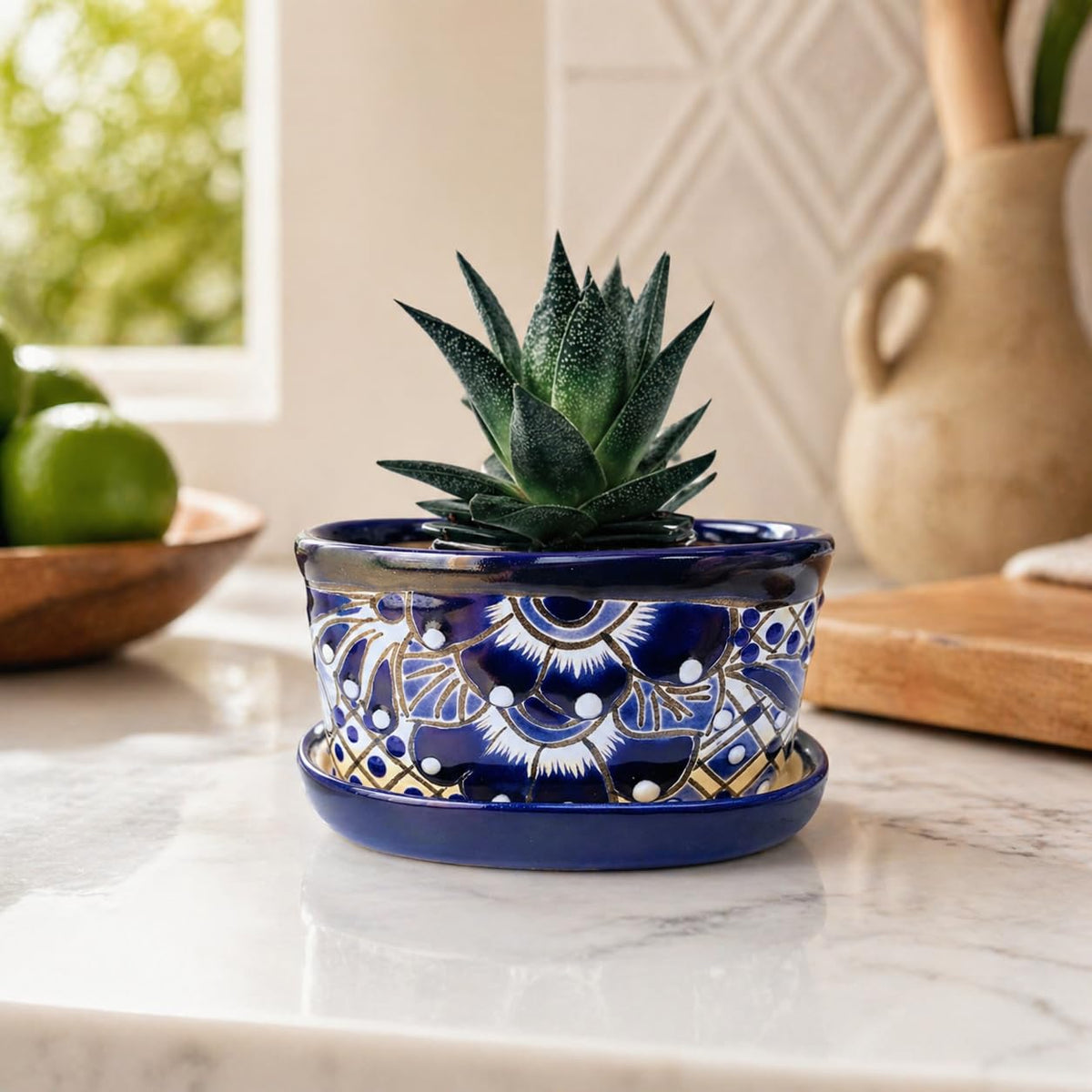 Oval planter with an aloe on a kitchen counter