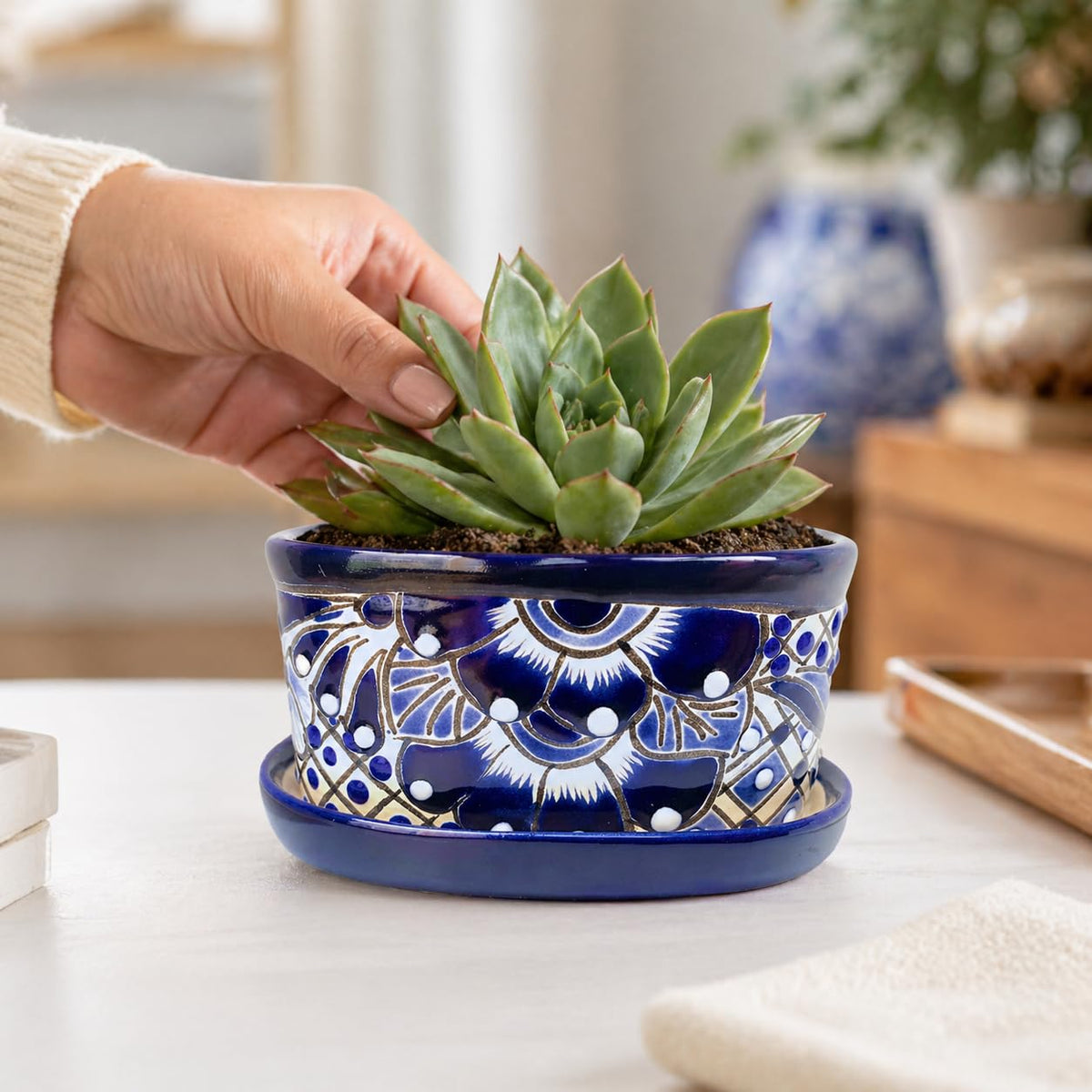 Placing a succulent in the blue and white planter