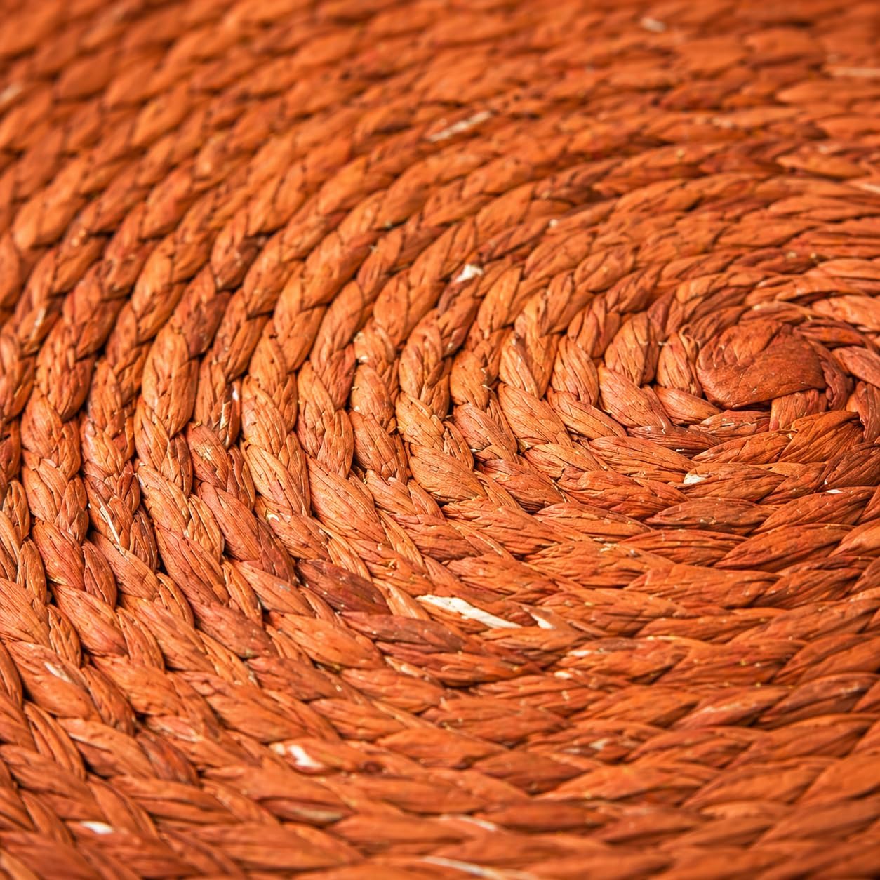 Orange Round Placemats, Set of 4 — front view