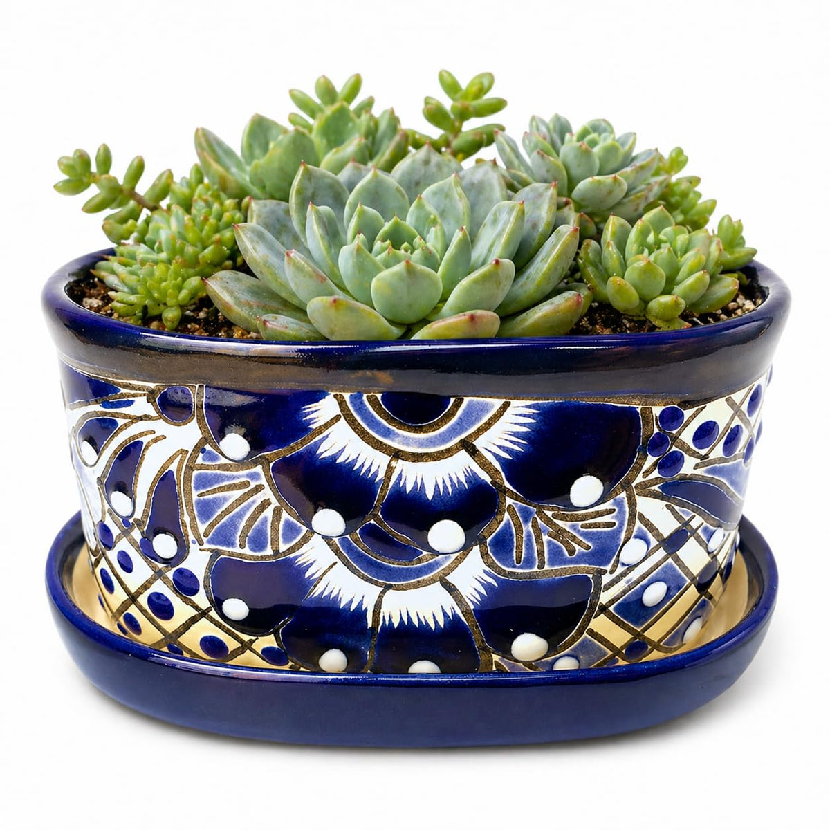 Blue and white Talavera-style oval planter with succulents and its saucer