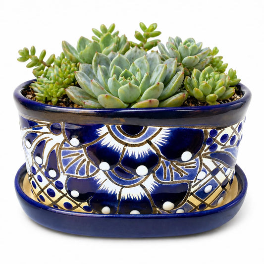 Blue and white Talavera-style oval planter with succulents and its saucer