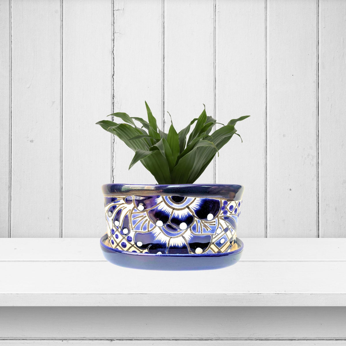 Small planter with an aloe on a white shelf