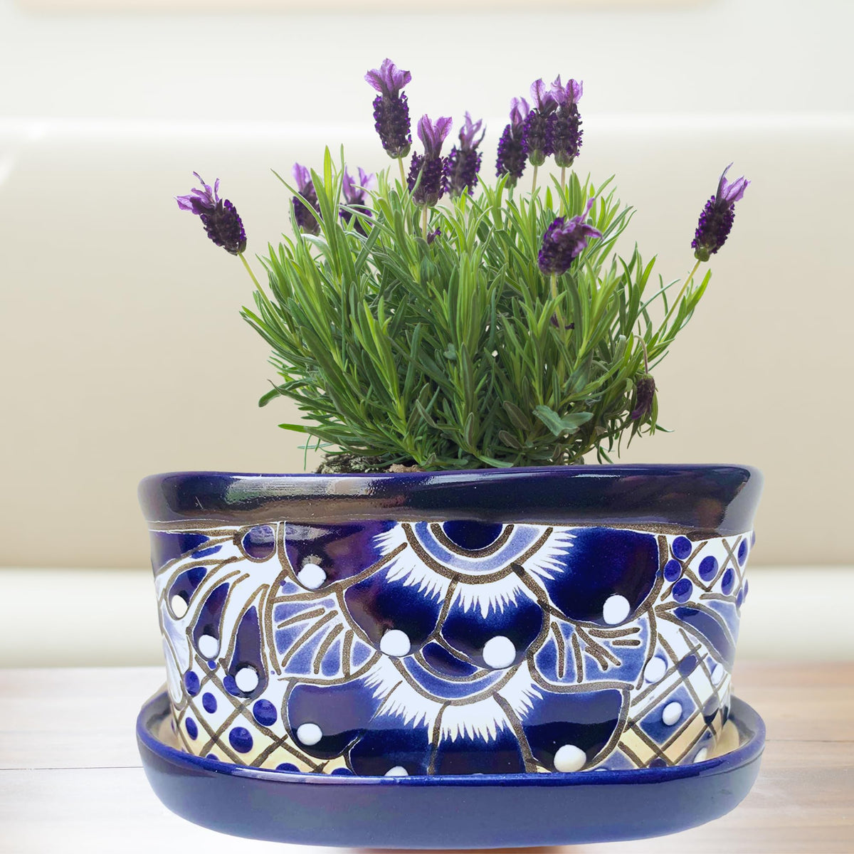 Blue and white planter with lavender