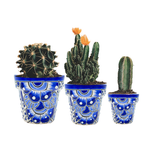 Mexican handmade macetas, made in Mexico, featuring Mexican folk art, hand-painted flower pots for succulents and cacti – vibrant and unique.