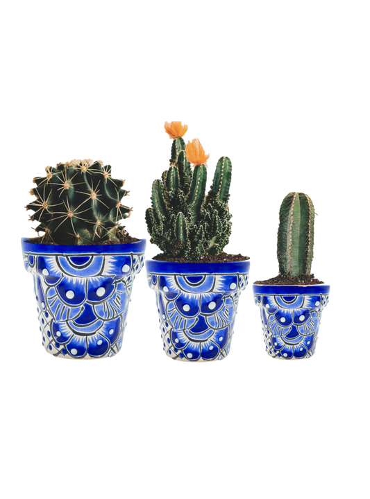 Mexican handmade macetas, made in Mexico, featuring Mexican folk art, hand-painted flower pots for succulents and cacti – vibrant and unique.